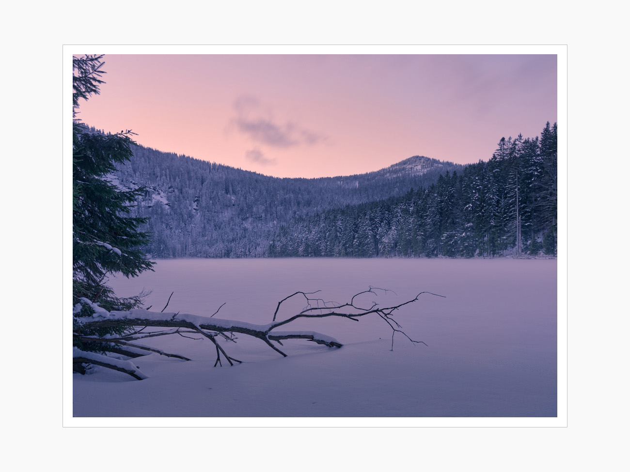 Max Schiefele Alle Bilder  DSF4215